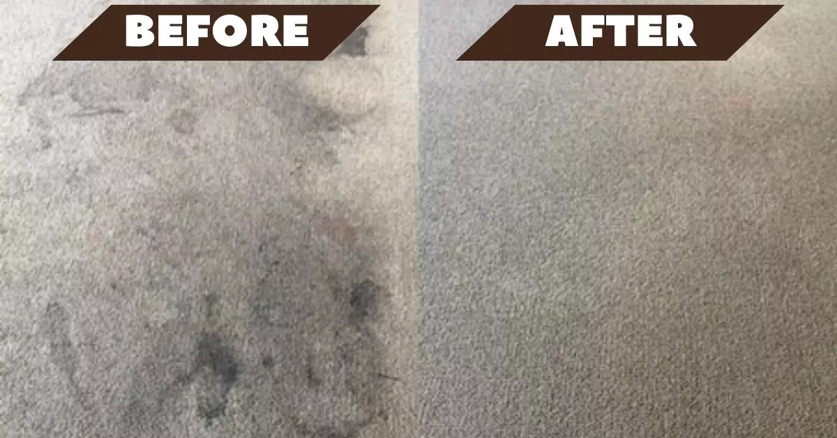 Carpet-Cleaning-Before-After