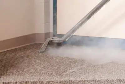 Hot Water Extraction